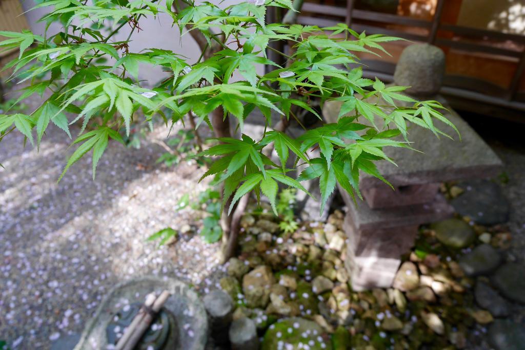 100 Years Old Traditional Kyoto Machiya Townhouse - K'S Villa Exterior foto
